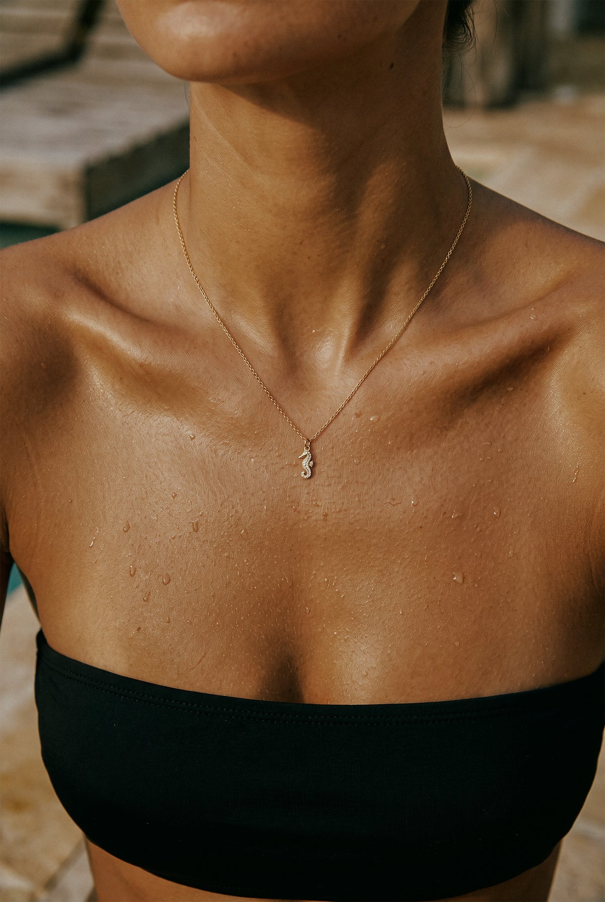Seahorse Necklace