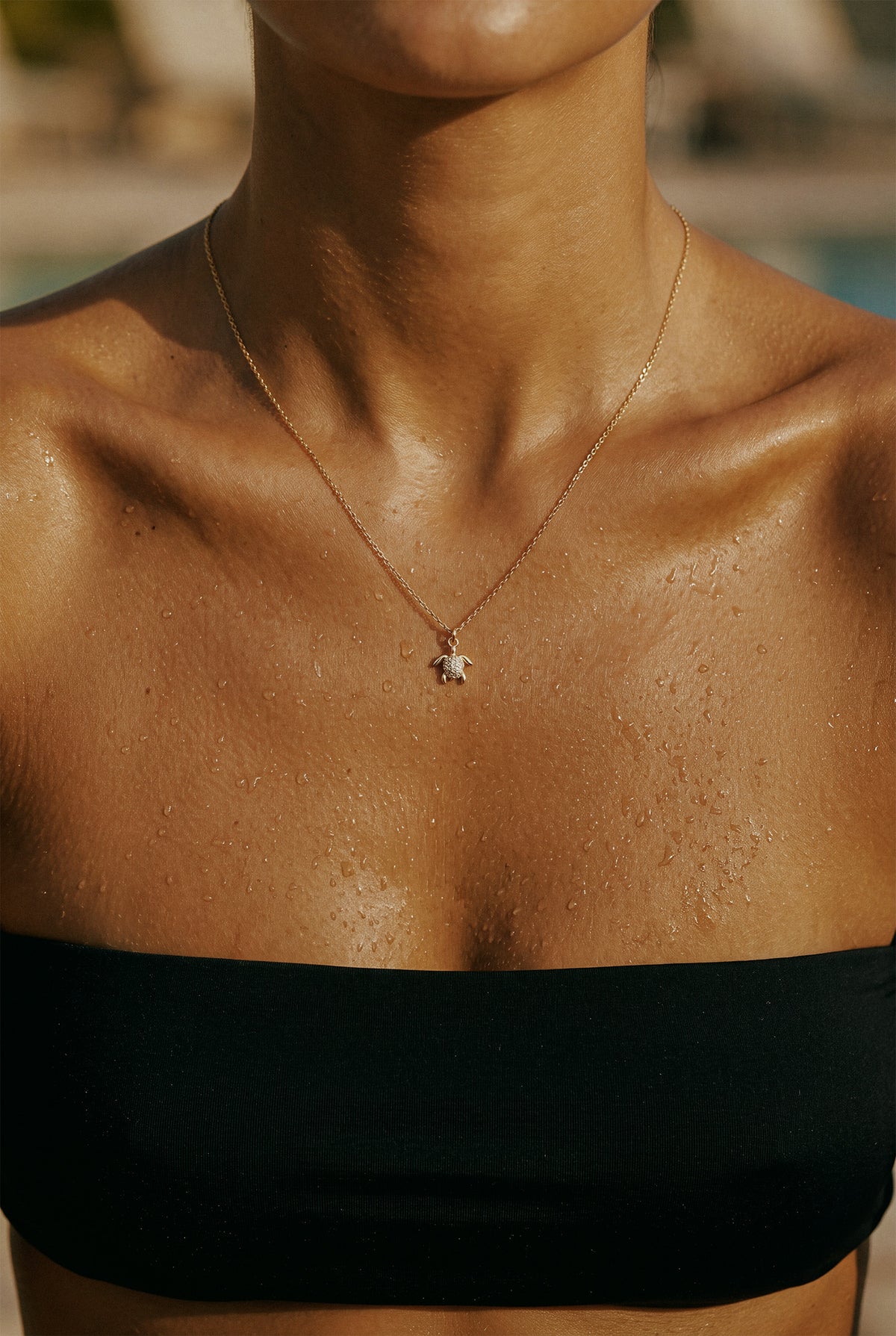 Turtle Necklace