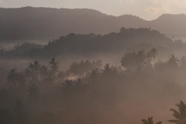 Mystical Morning in Bali Pin it Mystical Morning in Bali