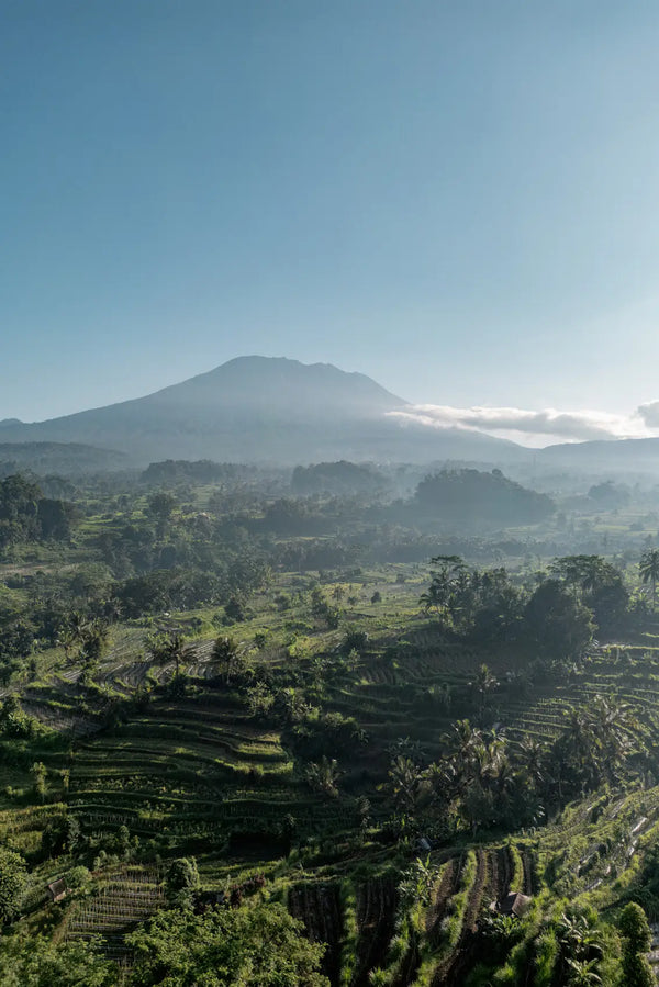 Morning Serenity in Sidemen, Bali