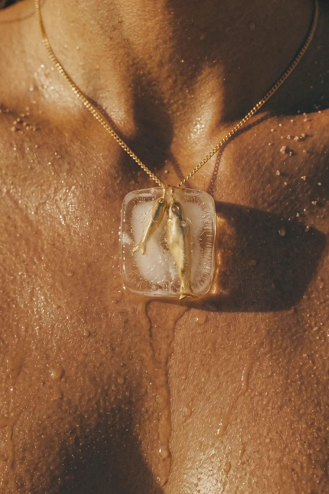 Golden Catch