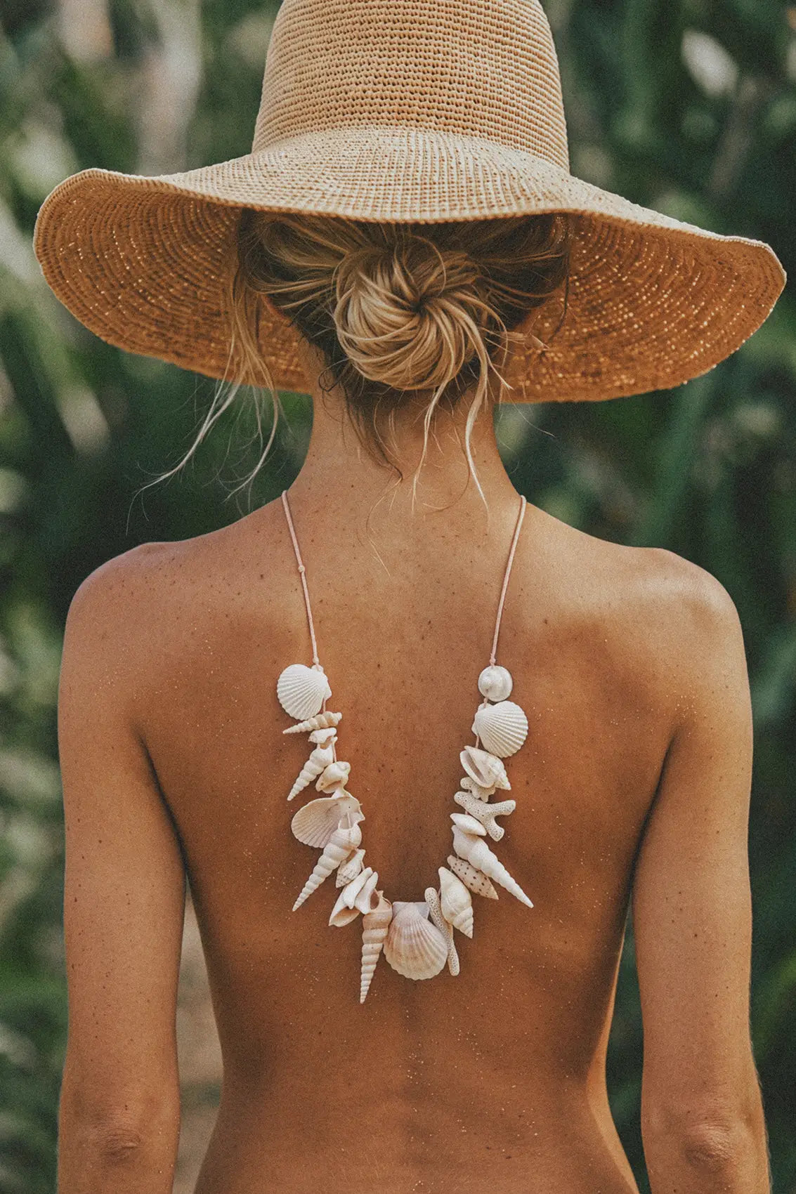 Tropical Shell Muse