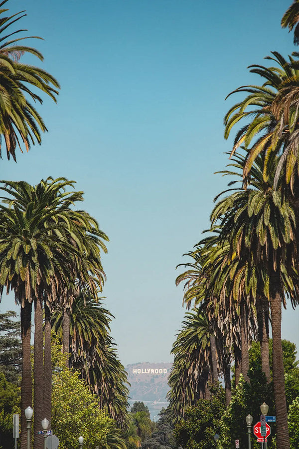 Iconic Hollywood Vista