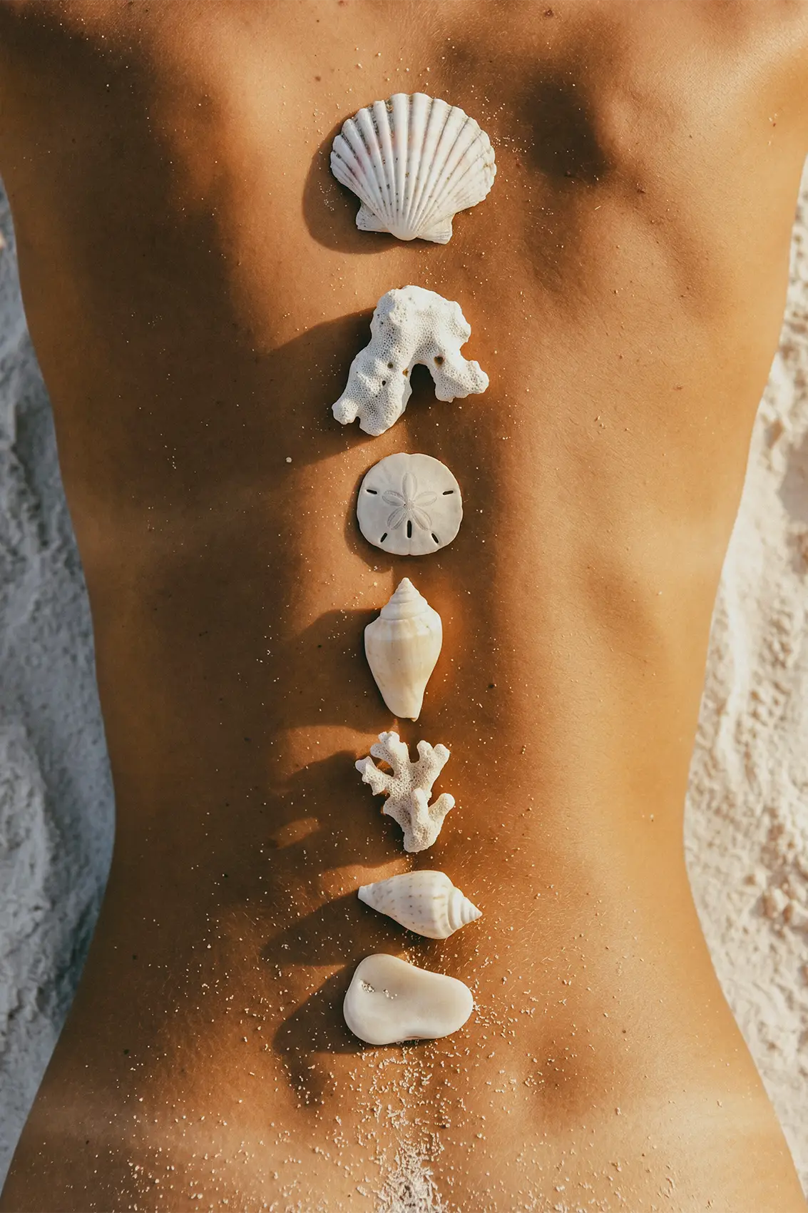 Sea Treasure