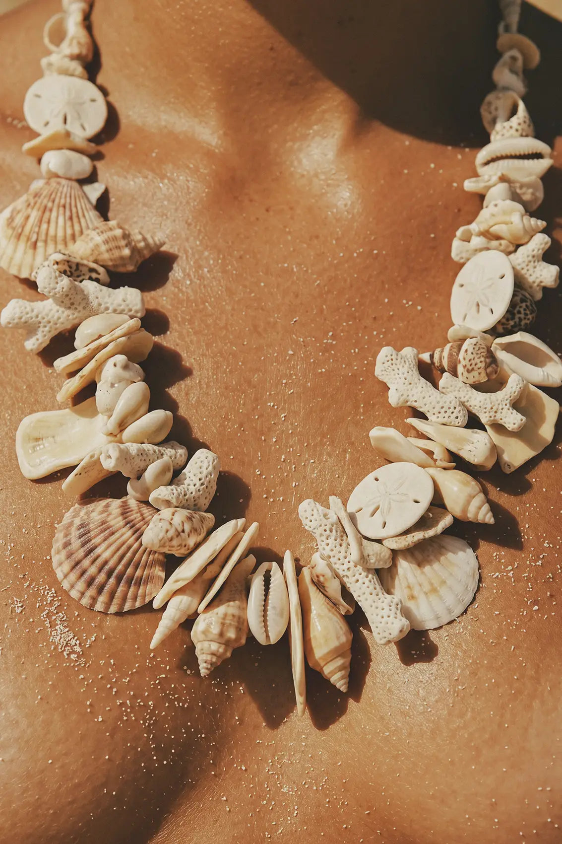 Treasures of the Tide