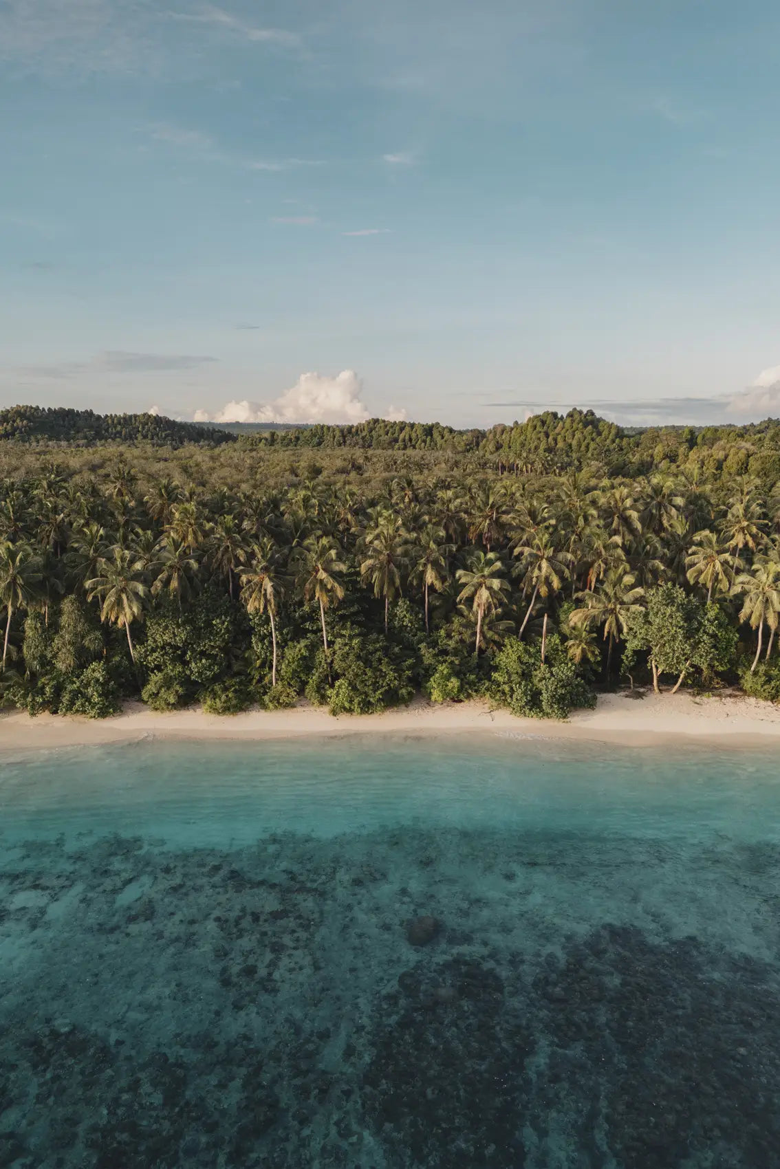 Lush Coastline of Sumatra