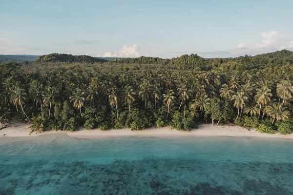 Tropical Paradise in Sumatra