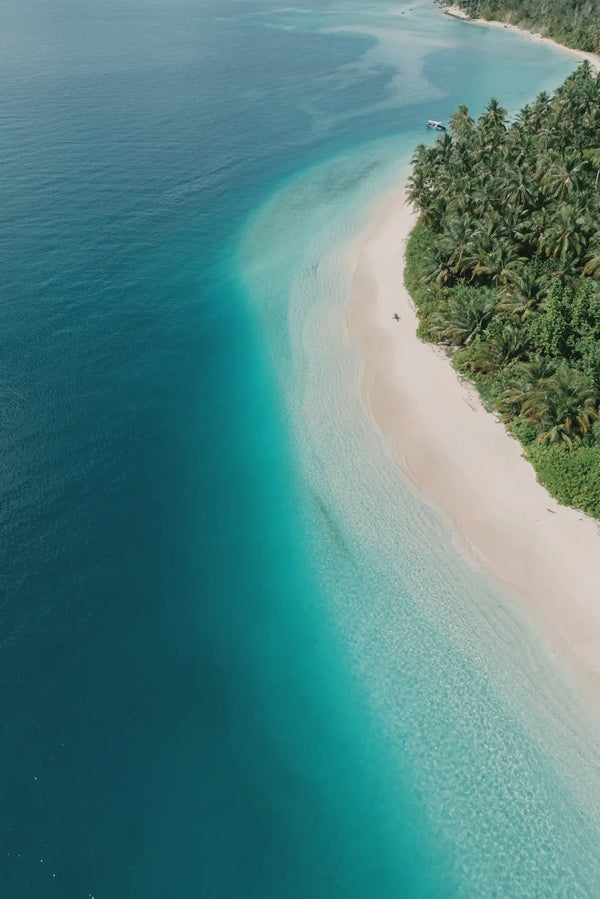 Serene Shores of Sumatra