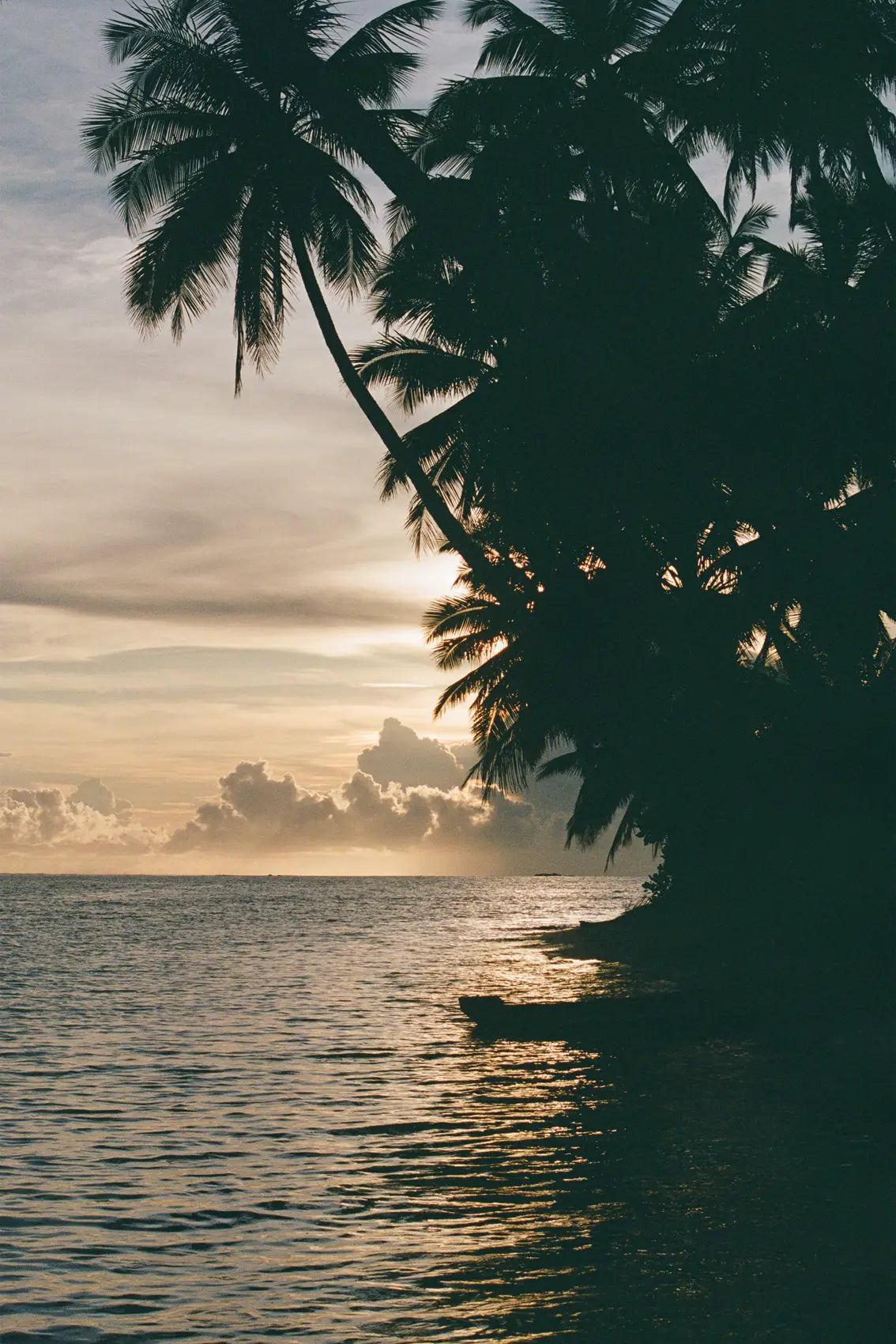 Tropical Sunset