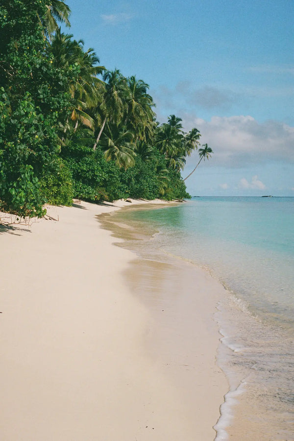 Serene Shoreline in Sumatra