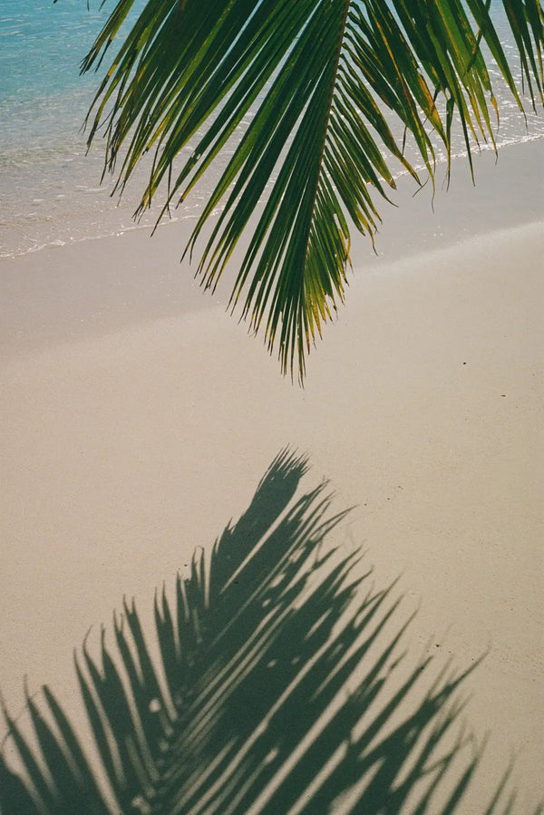 Tropical Palm Shadow on Sumatra's Pristine Beach