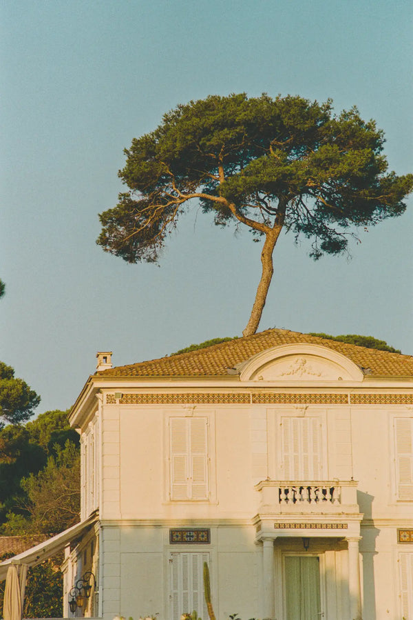 Elegant Villa at Sunset – French Riviera