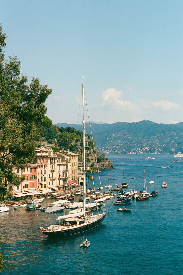 Portofino's Seaside Charm